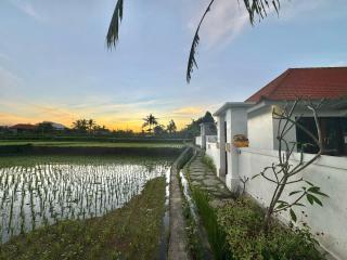 Dream Cozy 2Bedroom Ricefields - 9