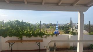 Villa Il Giglio Del Sud - Marina di Pescoluse - 5