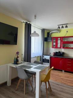 Apartament Salamandra Uno - Stronie Śląskie - 6