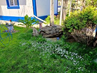 Casa Babica Guesthouse - Costinesti - 3