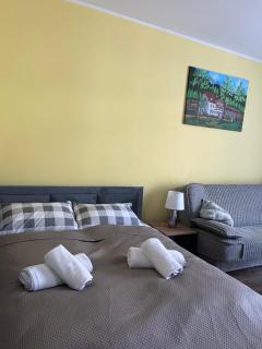 Apartament Salamandra Uno - Stronie Śląskie - 8