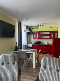 Apartament Salamandra Uno - Stronie Śląskie - 9