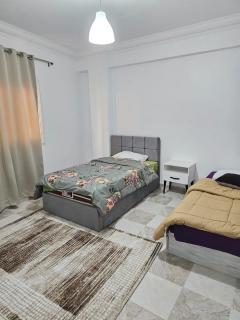Comfortable apartment in front of the AUC and the spot mall - Il Cairo - 2