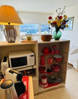 Studio 4pers SUPPER BESSE - Besse-et-Saint-Anastaise - 8