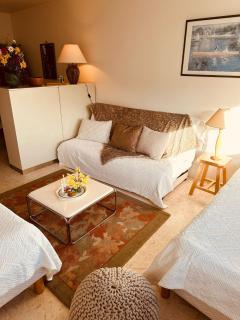 Studio 4pers SUPPER BESSE - Besse-et-Saint-Anastaise - 6
