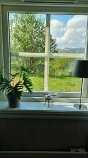Leilighet på Bekkeli, Beito. - Beitostøl - 3