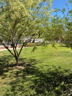 Villa Bonita - Tucson - 6