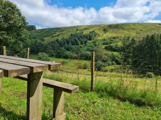 Cottage, Pontsticill, Brecon Beacons - - 1