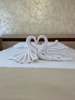 Hotel Selena Boutique - Neptun - 2