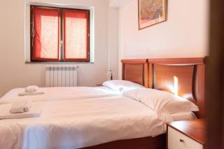 Cipresso 35 - 8