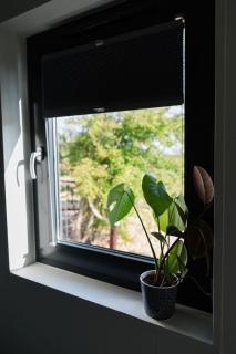 De Eend - Tiny house in de Zeeuwse Natuur - Driewegen - 6