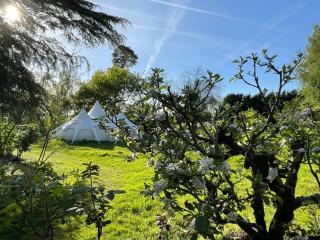 Tranquil Luxury Glamping Escape in Ross-on-Wye 7 - Ross on Wye - 8