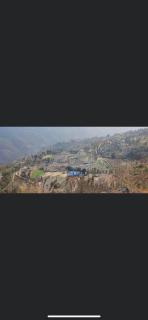 Shree Hotel - 6