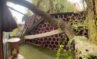 Adam's Tree House - Aourir - 3
