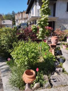 La gazza allegra - Querciola - 6