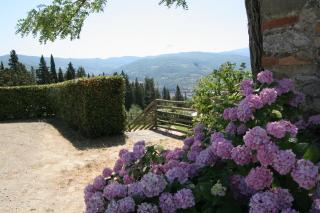 BASCIANO Agritour - Pontassieve - 4