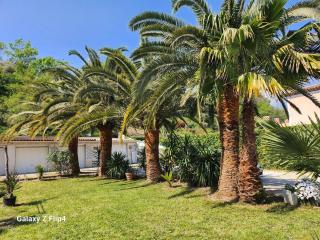 Gîte Bastide la Palmeraie - au calme, dans propriété, parking assuré - Saint-Paul-de-Vence - 4