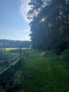 Country house villa near Berlin - Marienwerder - 9