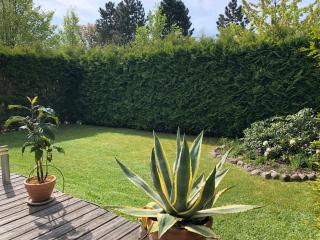 Ferienhaus am Mümmelbrook - 3