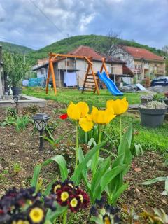 Vila Aleksandra 2 Apartman 6 - Soko Banja - 8