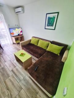 Vila Aleksandra 2 Apartman 6 - Soko Banja - 3