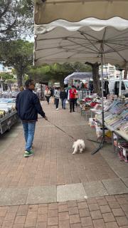 Studio port carnon - Carnon-Plage - 9