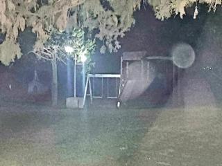 Finca Don Celestino - 4