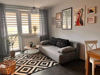 OSKA Apartament przy parku, klimatyzacja, parking, Tauron, Expo, komunikacja miejska - Krakow - 0