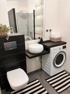 OSKA Apartament przy parku, klimatyzacja, parking, Tauron, Expo, komunikacja miejska - 7