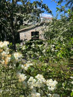 Dotty’s house - Rossano Stazione - 3