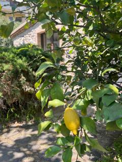 Dotty’s house - Rossano Stazione - 4