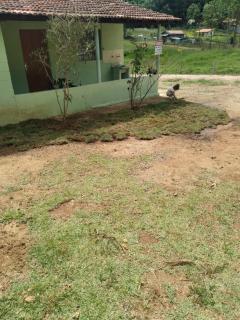 Casinha Verde - 5