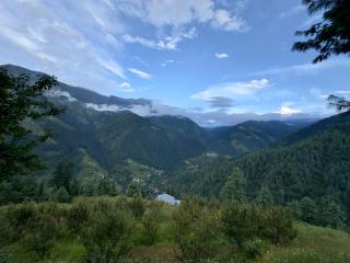 Bablus Treehouse l Jibhi X Tandi - 5