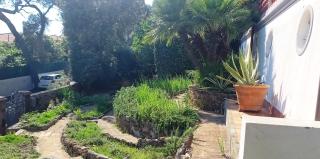 Appartamento in villa sul mare - Castiglioncello - 3