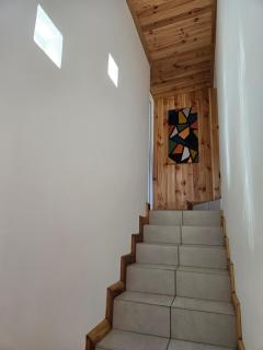 Fleurs Jaunes Cilaos - 5