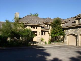 The Mountainside House - Luxury Home, Indoor Hot Tub, Ski Home, Private Shuttle - 8