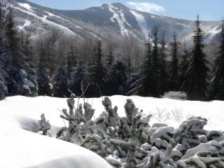 The Mountainside House - Luxury Home, Indoor Hot Tub, Ski Home, Private Shuttle - 2