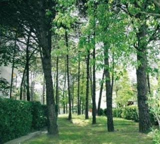 Lovely and elegant residence near the beach in Lignano - Lignano Sabbiadoro - 2