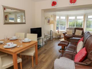Trem-Yr-Afon - Lampeter - 7