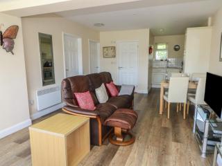 Trem-Yr-Afon - Lampeter - 3