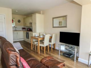 Trem-Yr-Afon - Lampeter - 2