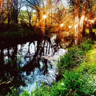 Dowr-Gwel Shepherds Hut - 4