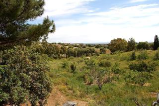 natural farm with sea view - - 1