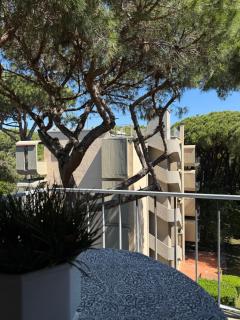 LA TERRAZZA DEL PINO - Torre del Lago Puccini - 5