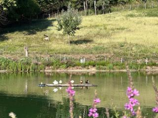 Peaceful Lake House - - 6