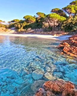 VILLA LE CORAIL ROUGE CORSE - Lecci - 5