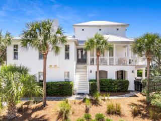 99 Sandy Shores Ct - Inlet Beach - 0