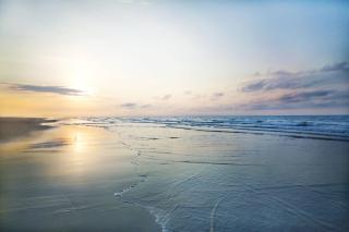 Pet Friendly, Patio, Close to Beach, QG515 - Hilton Head Island - 6