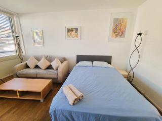 Brand New Downtown Studio, Zurich with Balcony HOH 104 - Zurigo - 4