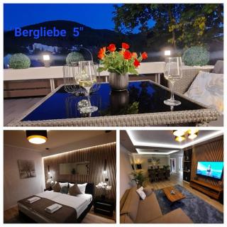 Bergliebe 5 mit großer Terrasse, Tiefgarage & Lift - Bad Harzburg - 0